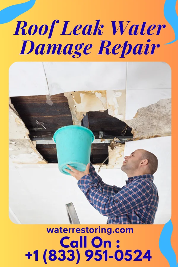 Roof Leak Water Damage Repair in Independence, VA