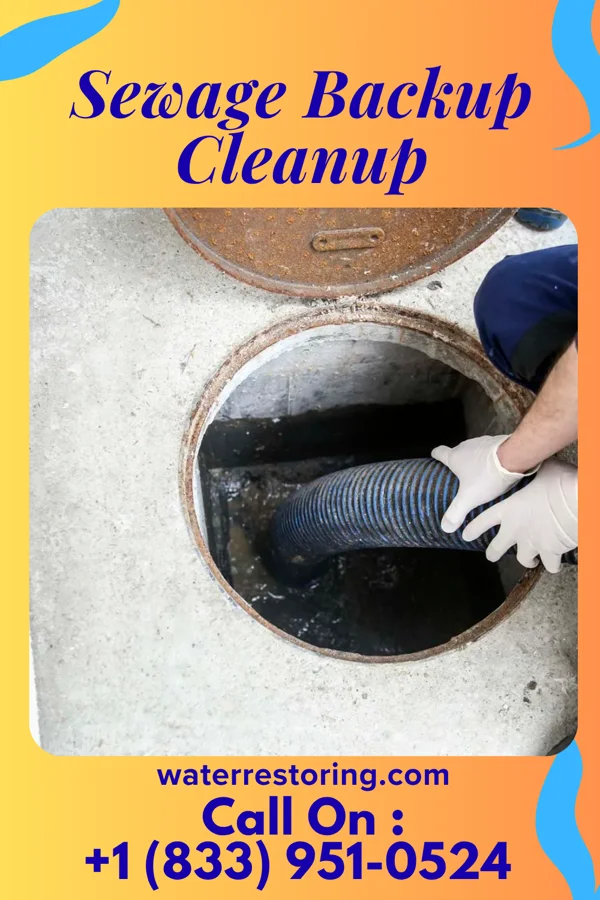 Sewage Backup Cleanup in Independence, VA