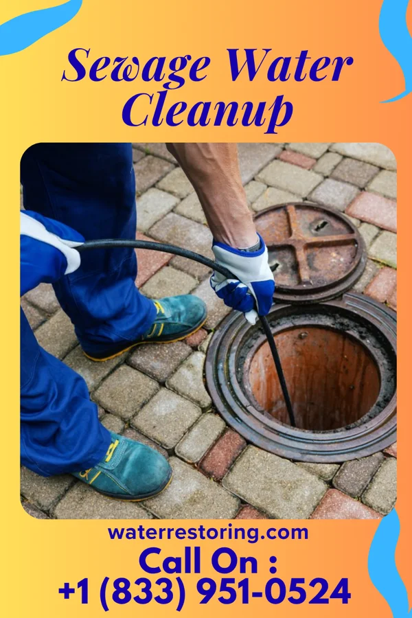 Sewage Water Cleanup in Independence, VA